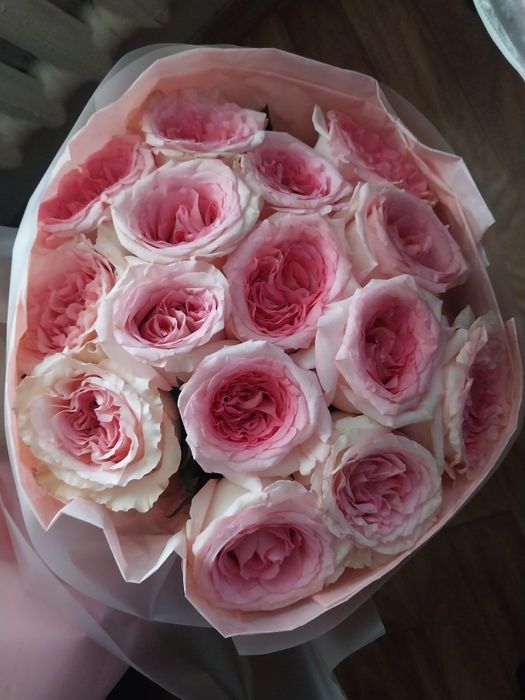 Розовый роза цветы