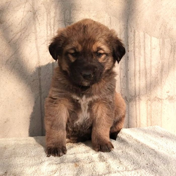 Не проходите мимо подарите дом бездомным