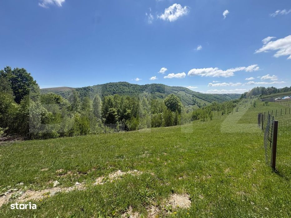 Teren Construibil - Muntele Baisorii , 5000mp - cu posibilitate de par