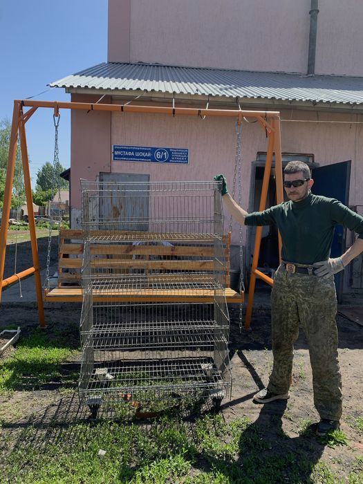 Магазинная витрина на колесах