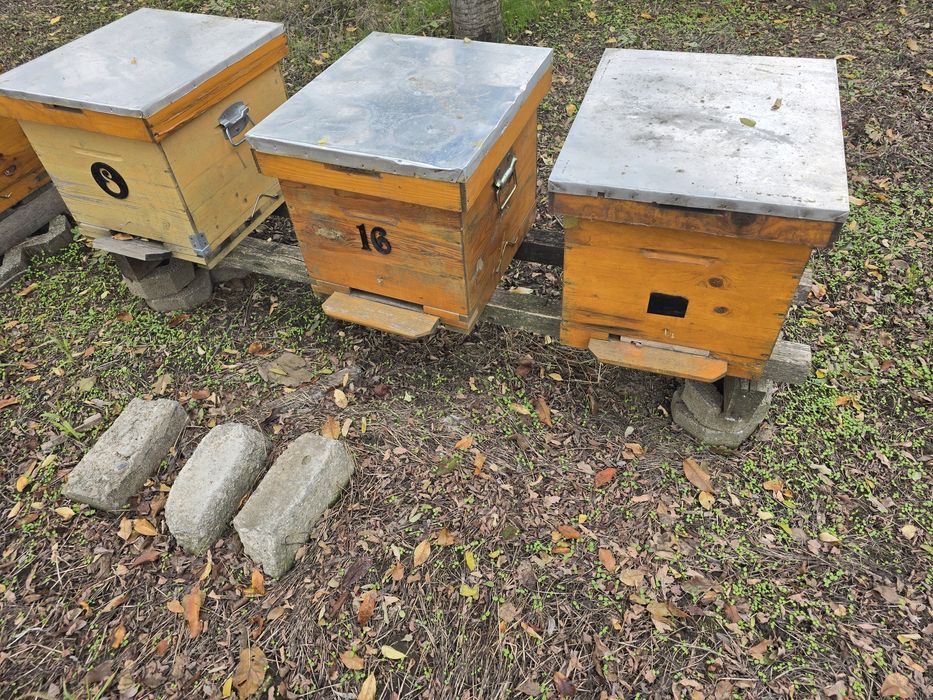 Stupi, caturi, centrifuga, diverse albine