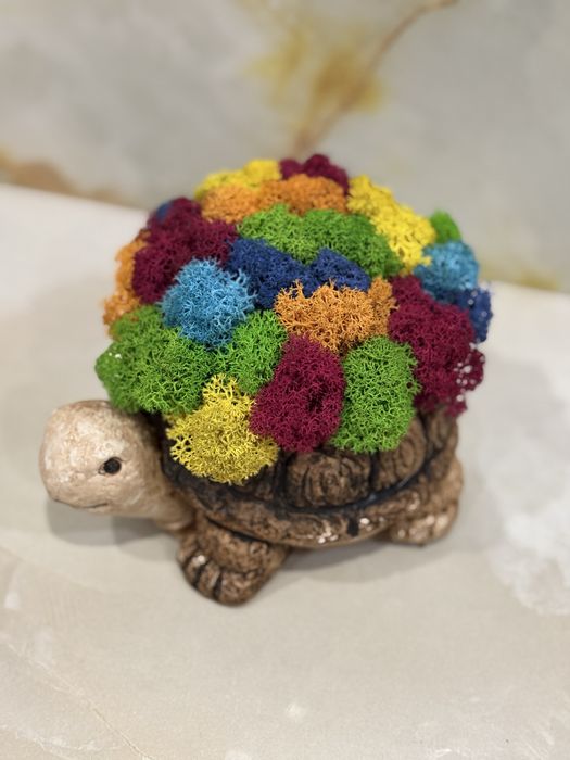 Костенурка със скандинавски мъх