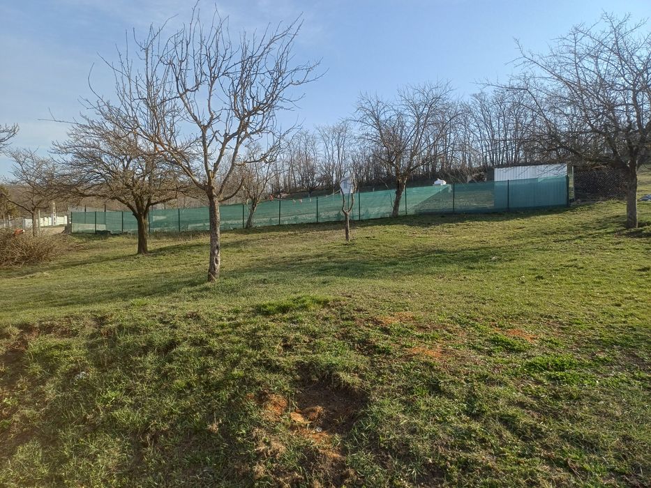 Loc de casă  10 ari intravilan.