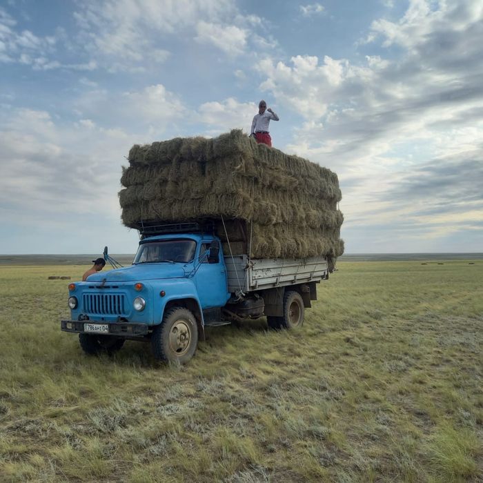 Газ 53 дизель д245