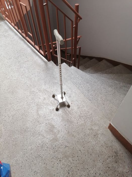 Бастун четириопорен