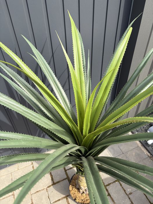 Planta artificiala yucca