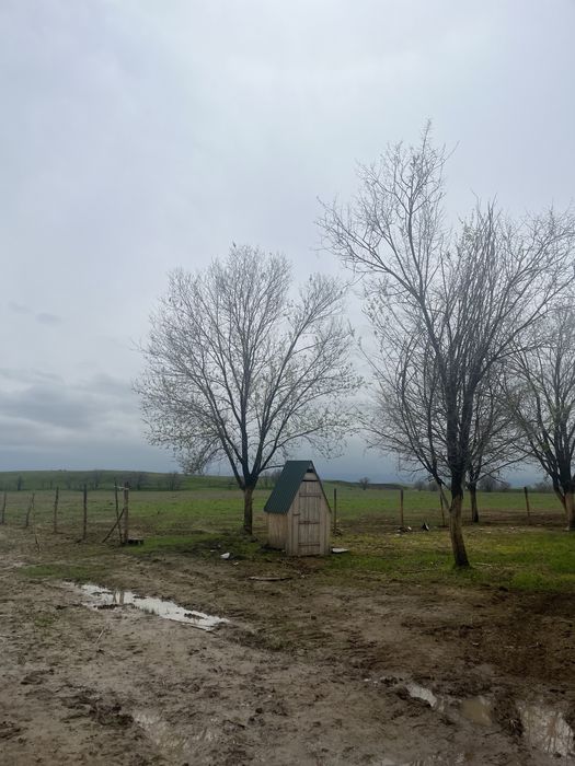 Продается Фазенда | Кашар сатылады