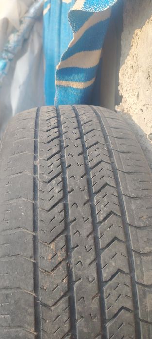 Шына сотилади charmhoo