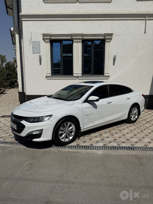 Malibu 2 premer 2022