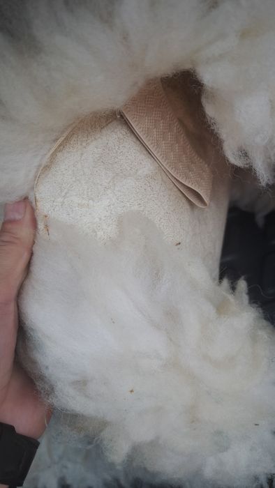 Автомобиль чехол