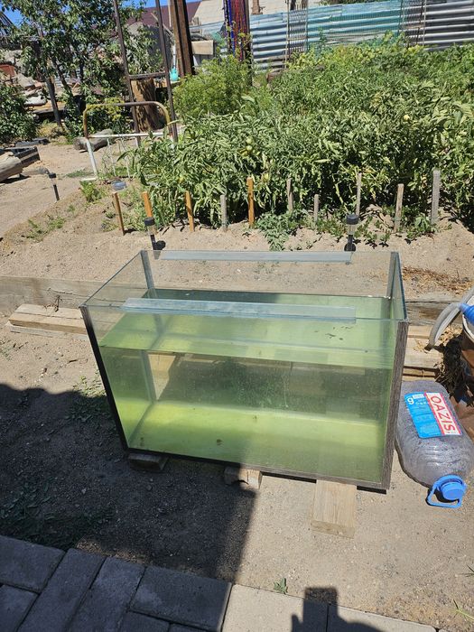 3 аквариума по цене одной