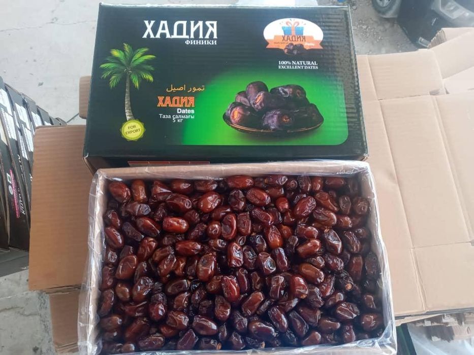 Оптом финики из Ирана