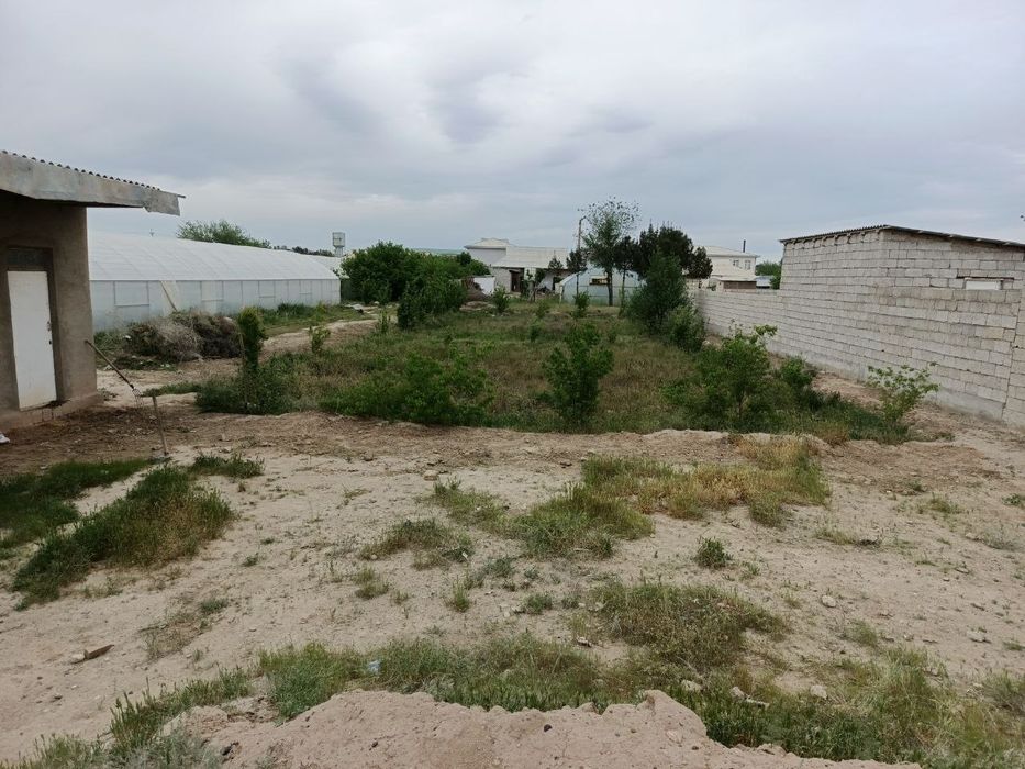 Uchqizil xokimyati yonida