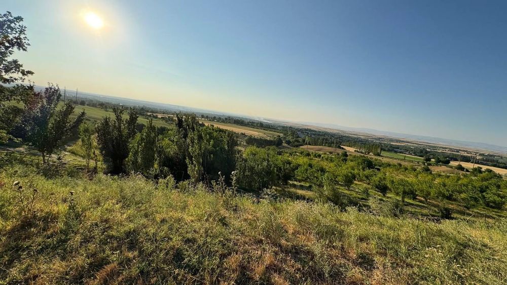 Продаётся фермерское хозяйство 11 га..