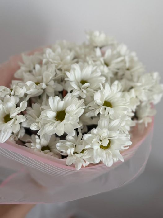 Цветы ао хорошей цене свежие
