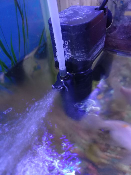 Акварюм с 4 рыбами и 2улитки