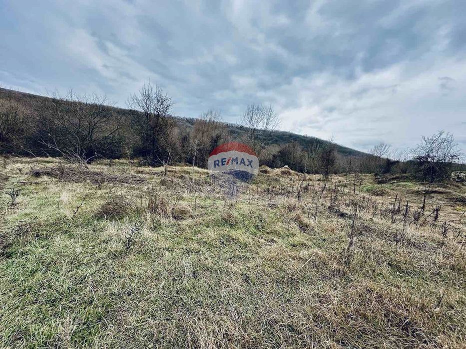 Продава се Парцел в с. Църква, Област Добрич - 25000 кв.м за 3 €/кв.м - Снимка #2