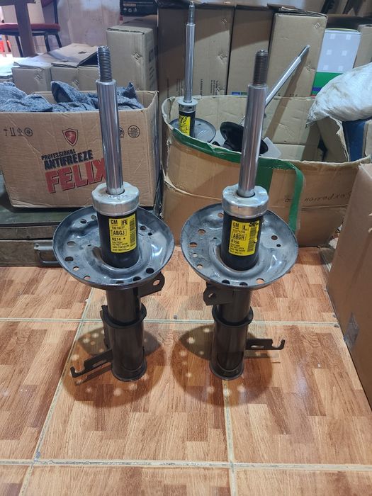 Орландо аматизатор GM