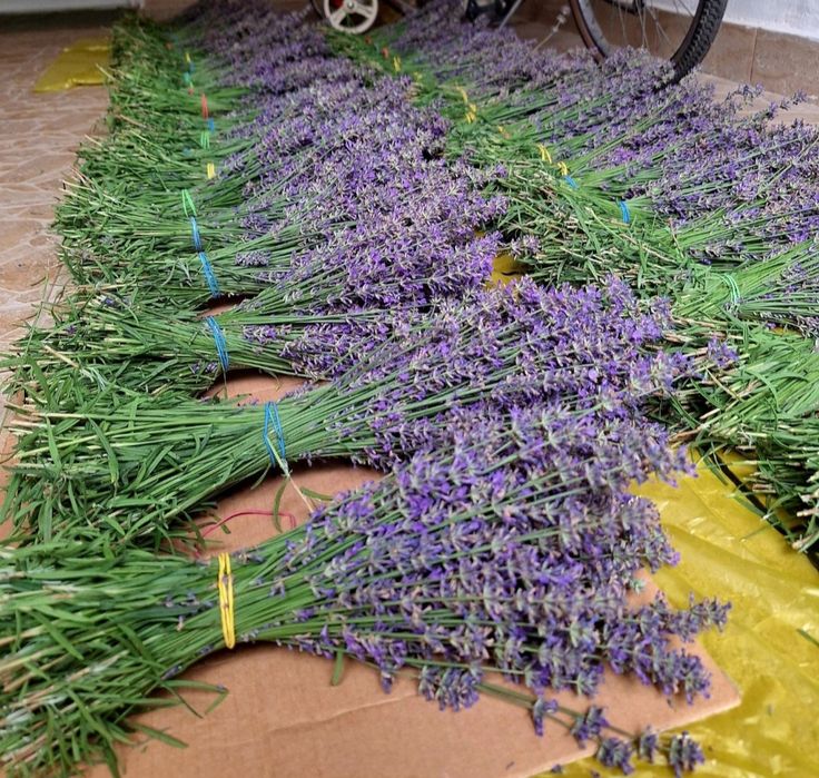 Saculeti cu lavanda