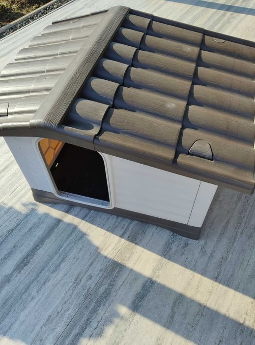 Cusca de Caine ,talie medie