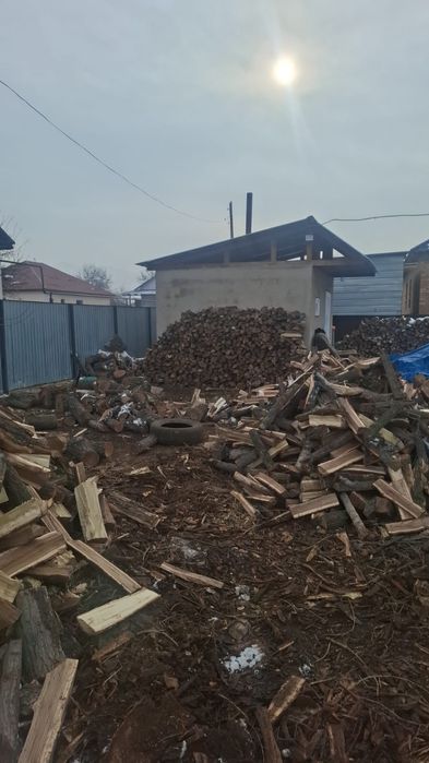 Дрова карагач продаю