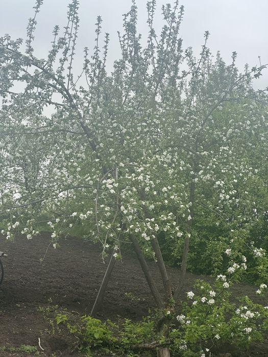 Продам двухэтажный особняк в городе Алтай (Зыряновск)