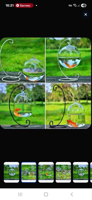 Акваруммо с поставкой