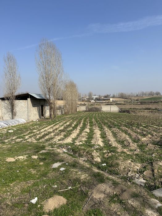 Yangilyulda yer sotiladi