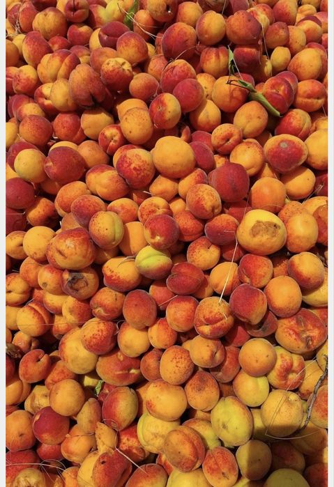 Vand. Caise. De tuica. Palinca. Dulceata etc.