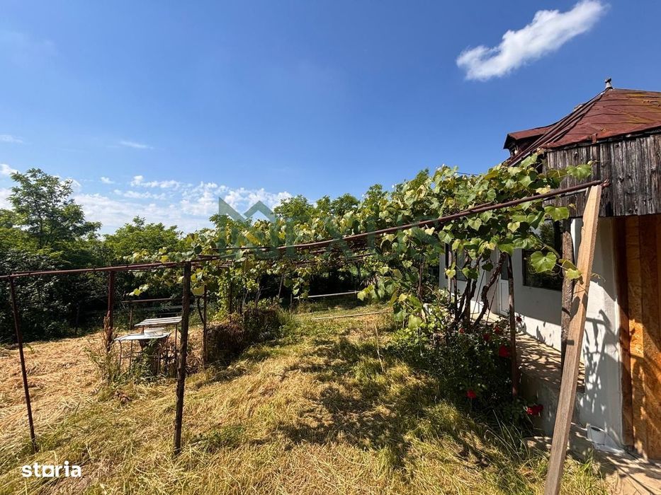 Casă bătrânească cu teren de 3.200 mp în Hertioana de Jos, jud.Bacău