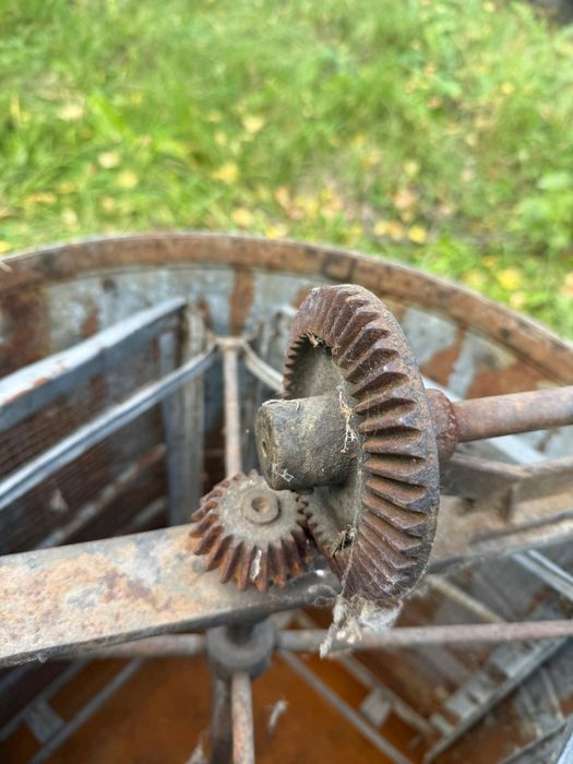 Медогонка четырехрамочная