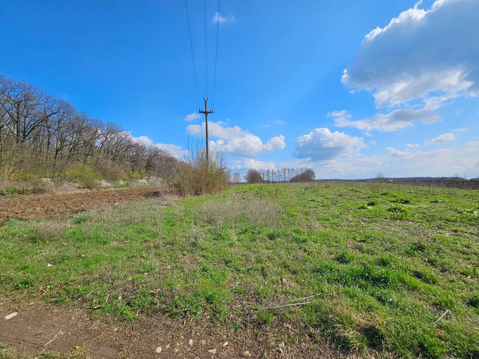 Teren intravilan Snagov Sat – lângă Pădurea Snagov | Preț negociabil