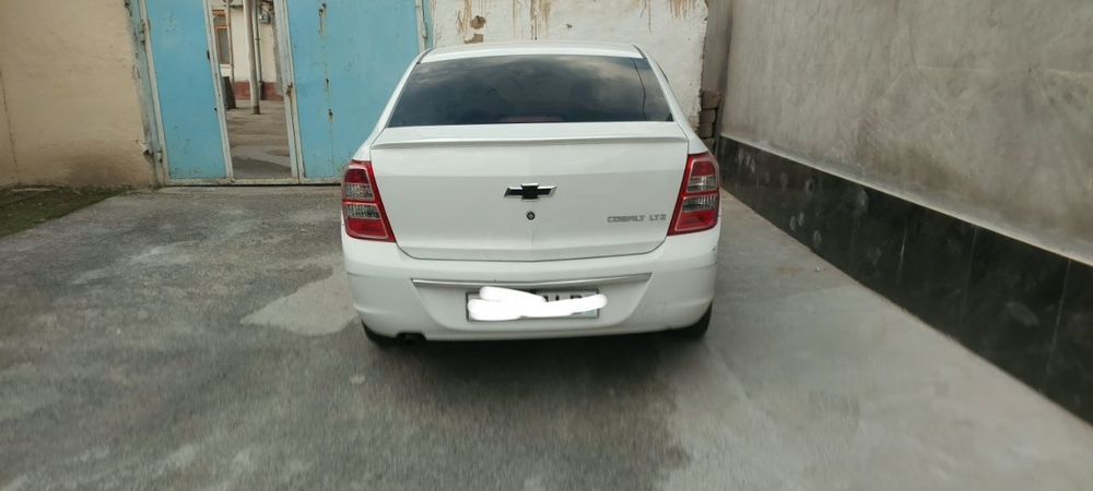 Colbalt Ltz avtomat 2020