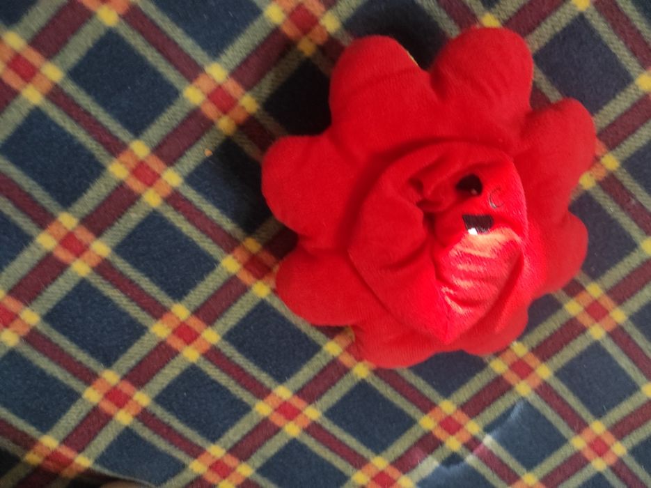 2 игрушки, 500 восьминог 1000 кактус,