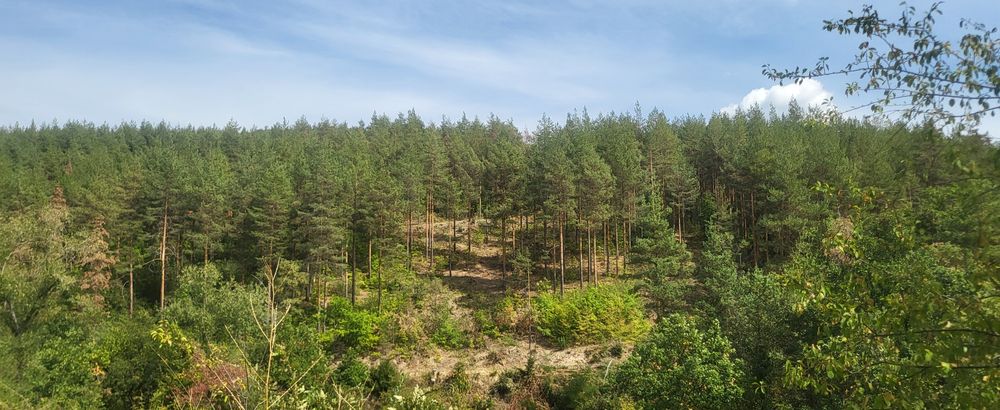 Парцел в регулация с. ОЧУША Софийска област