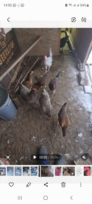 Продажа продажа продажа