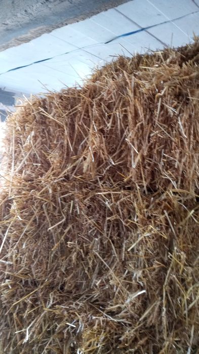 Pentru iarna așternut animale,decor realistic baloți mici paie