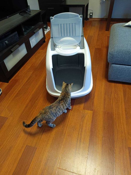 Тоалетна за котки – голяма XXL