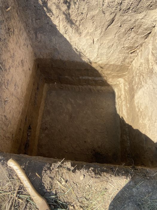 СЕПТИК с Гарантией