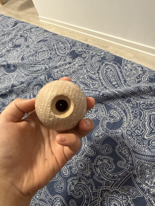 Tama miguel albastra