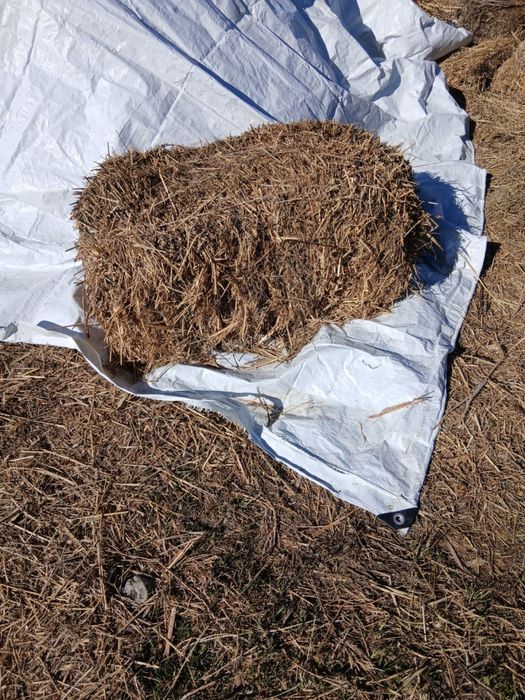 Продам сено самовывоз