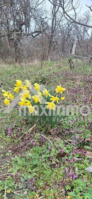 Парцел в Варна-м-т Планова площ 1140 цена 95000