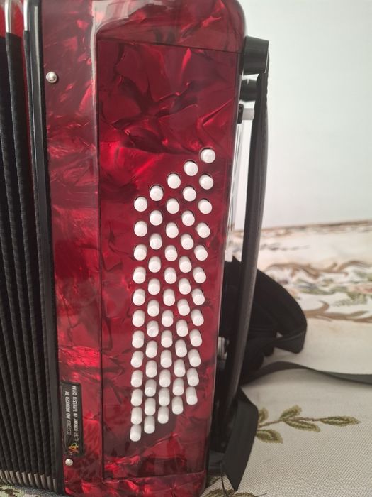 Баян инстурмент...