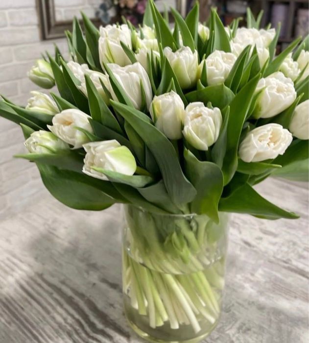 цветы голландские тюльпаны