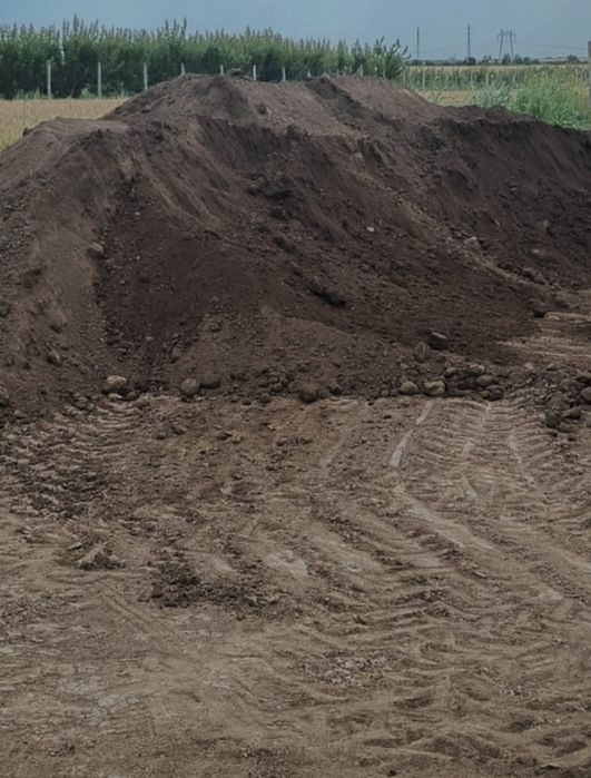 Pământ negru ( vegetal )