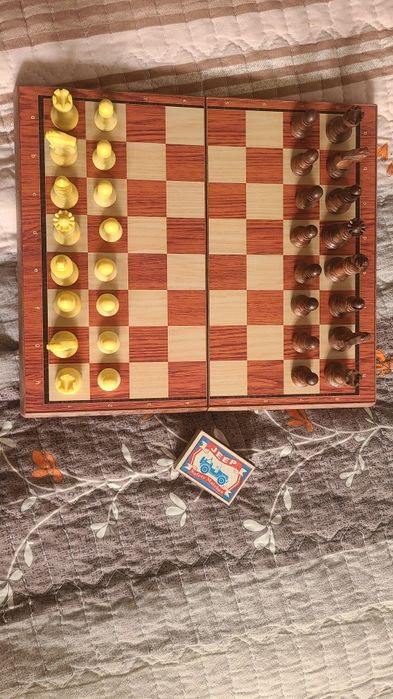 Магнитные шахматы