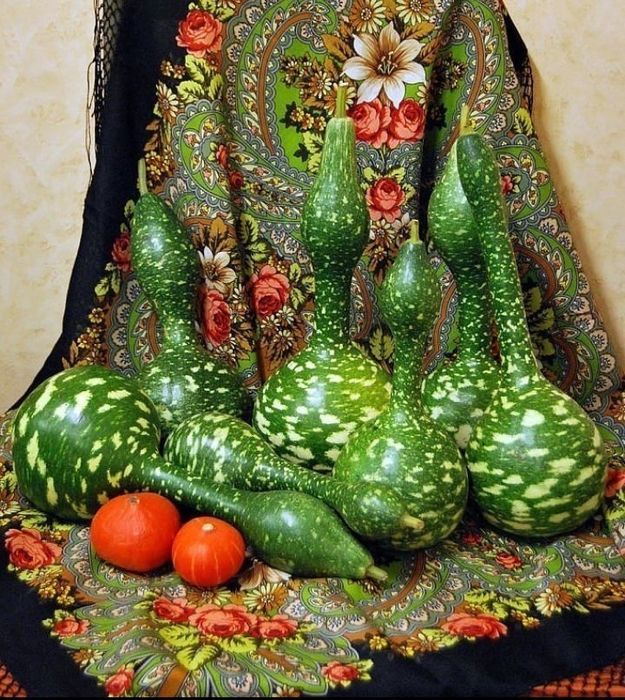 Лагенария «Гусь в яблоках» семена