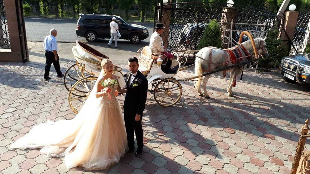 карета, фаэтоны, кони