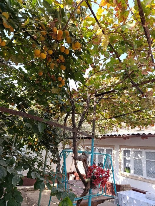 Продаётся дом в Джалаире срочно!