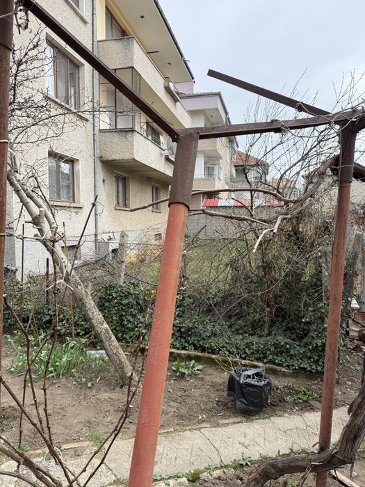 Стълбчета за асмалък